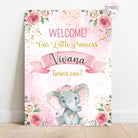 Pink Elephant Theme Birthday Party Welcome Board